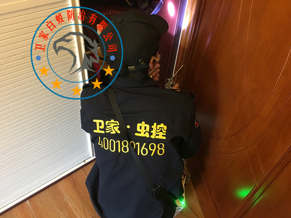 南海盐步白蚁防治所公司<您身边的白蚁专家>指定上门灭治白蚁除杀白蚁中心-盐步和