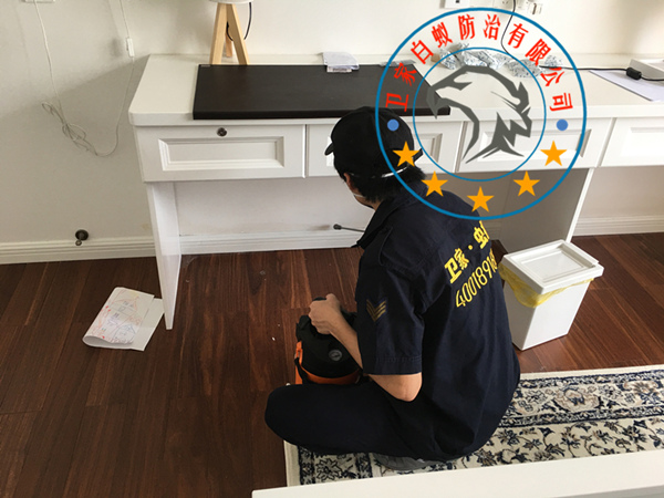 南海平洲白蚁防治所公司<您身边的白蚁专家>指定上门灭治白蚁除杀白蚁中心-平洲和